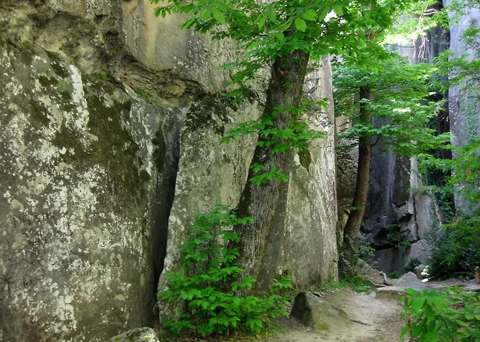 Hotel Les Callunes 2*